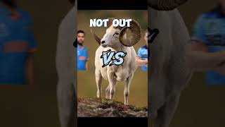 Rohit Sharma VS Eion Morgan in ODI #rohitsharma #eionmorgan