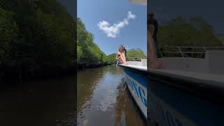 Lembongan, Indonesia. Mangrove forests❤️