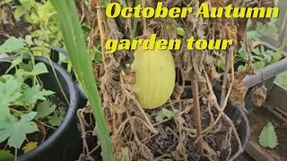 October Autumn garden tour