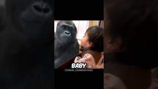 Gorilla mom and human child😔