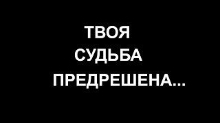 Твоя судьба предрешена...