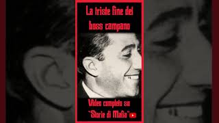 La TRISTE FINE del BOSS CAMPANO #mafia #cosanostra #truecrime #curiosità