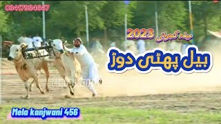 BULL RACE || بیل جلسہ || سہاگہ ریس || Suhagah race || Ghirlah patti || Bail phatti dood