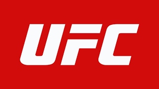 UFC3