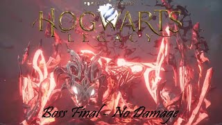 Hogwarts Legacy - Serpentard - BOSS FINAL !! No Damage - (Hard Mode) - Pc 4K Ultra - 60fps.