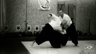 Aikido: Stephane Goffin Budapest Feb 2020