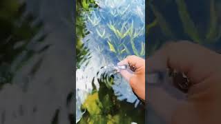 Iphone Under Water #viralvideo🥰📱 #subscribetomychannelplz