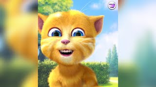 talking ginger funny cat   my talking ginger cat episode 407