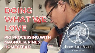 DOING WHAT WE LOVE Pig Processing with Magnolia Pines Homestead