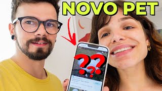 QUERO um NOVO BICHINHO (nada convencional)! MAS O BOB NAO QUER! 🤡 - Vlog #54