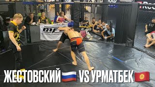 Урматбек Уулу Бексултан🇰🇬 VS Жестовский Станислав🇷🇺| UFL-12 | Грепплинг в весе до 66кг