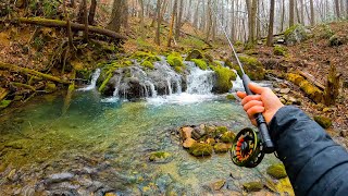 Fly Fishing a Beautiful Small Stream! || $1000 Rod and Reel Combo: Worth the Money?