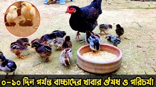 ০-১০ দিন পর্যন্ত বাচ্চাদের  খাবার ঔষধ ও পরিচর্যা || মুরগির বাচ্চা পালন পদ্ধতি || Nur Bhai