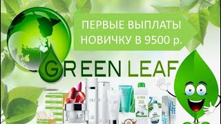 Первые выплаты новичку на след. день в 9500 руб. #GREENLEAF #GREENLEAFКрым #ГринлифКрым #млм_бизнес