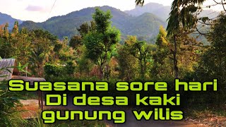 Suasana sore hari di desa hawa sejuk dan asri