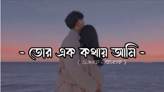 তোর এক কথায়। Tor Ek Kothay । Slowed and Reverb। Bengali Lofi Song। Music Blog