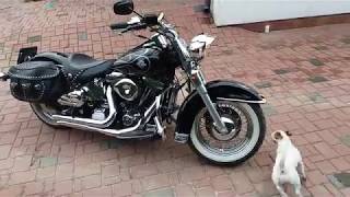 Harley Heritage Softail 1998