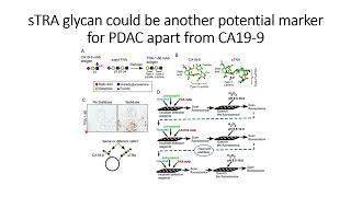 sTRA glycan could be the potential biomarker for pancreatic cancer apart from CA19-9 #Code: 693