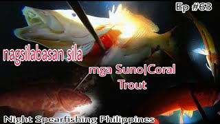 Nagsilabasan ang mga Suno/Coral Trout|Night Spearfishing Philippines|Ep #63| @paulspearochannel7012