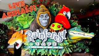 BIZARRE History of The RAINFOREST CAFE (How It BEGAN In A MAN'S HOUSE?!)