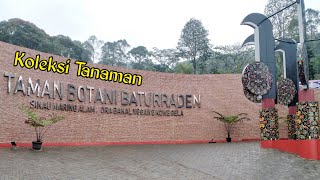 Koleksi Tanaman Taman Botani Baturraden