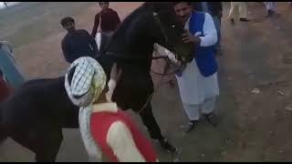 Beautiful Gora Dance Owner Mian Imtiaz Aslam Labana & Mian Alah Dita Labana District Pakptan part 11