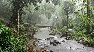 Rain in Air Terjun Colek Pamor, Bali, Indonesia