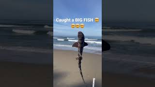 Caught a BIG FISH 🤯🤯🤯 huge shark #fishing #trending #viral #viralvideo #trendingshorts