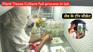 Plant Tissue Culture Lab: Exploring the Fascinating World of Plant Biotechnology. #aasankheti