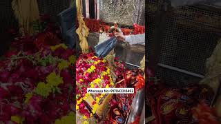 Mira datar dargah Urs stetus|whatsapp qawwali status|2024new qawwali|Famous qawwali|mira data