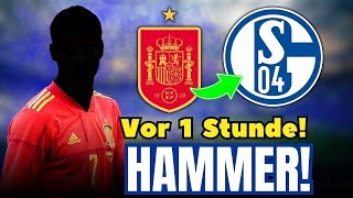 SPANIEN-STAR vor WECHSEL: Nationalspieler EINIGT sich mit S04 | S04 NACHRICHTEN HEUTE