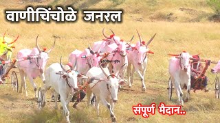 वाणी चिंचोळे 21000 | संपूर्ण पट्टा जोरात चुरस | हरन्या चा खोळंबा #Sanglikar Sudip