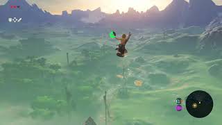 Possible way to skip great plateau? -BOTW Speed run find?