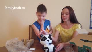 Обзор детской #аудиосистемы #Ritmix ST-550 Panda