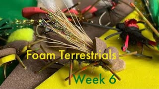 Foam Terrestrials Week 6