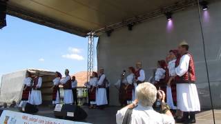 Tara Oltului, Sibiu 2014 Zile Culturale