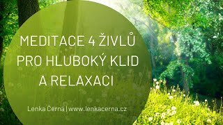 MEDITACE 4 ŽIVLŮ PRO HLUBOKÝ KLID A RELAXACI