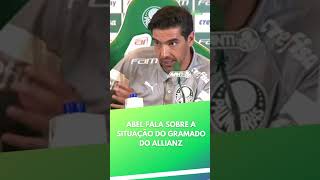 Abel Ferreira fala na coletiva sobre a situação do gramado do Allianz #abelferreira #palmeiras