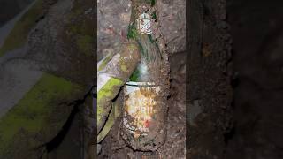 Antique Local Soda bottle Found   4ft Underground. Recovered while bottledigging after +/- 80 Years