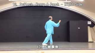 64 Form Tai Chi Section 1 (Back View) (2013.09.08)