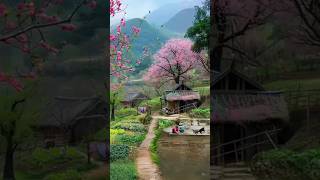 Mountain Village #love ##trending #shorts #viral #shortsviral