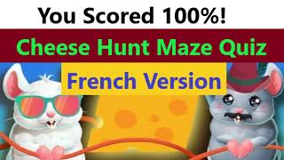 Cheese Hunt Maze Quiz French Version | Video Quiz Star | Labyrinthe chasse au fromage Quiz Answers