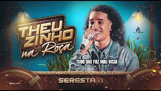 THEUZINHO - TUDO QUE FAZ MAL VICIA