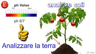 analisi terreno, homemade experiments