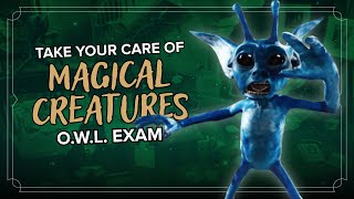 Would You Pass Your Care of Magical Creatures Exam?