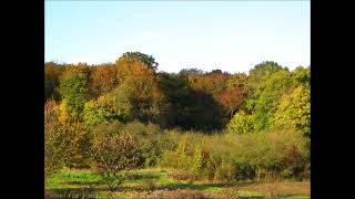 Des couleurs dans le ciel