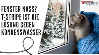 Fenster nass? Die T-STRIPE Fensterheizung schützt Ihre Fenster Scheiben vor Kondenswasser!