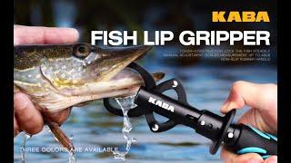 Kaba Fish Lip Gripper with Scale