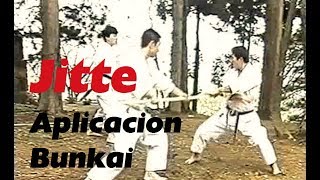 Jitte karate-Do Shotokan Aplicacion Bunkai