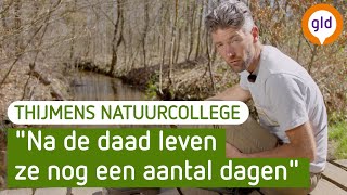 Parende beekprikken | Thijmens Natuurcollege | BuitenGewoon